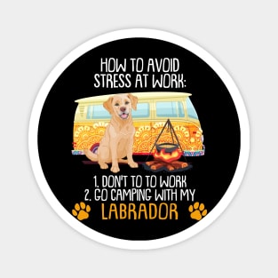 Camping With Labrador To Avoid Stress Magnet